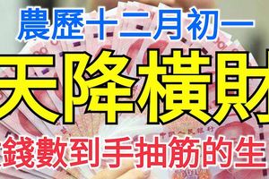 農曆十二月初一天降橫財，數錢數到手抽筋的三大生肖！