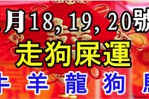 1月18,19,20號財神登門，貴人相助，走狗屎運，橫財賺千萬的生肖！