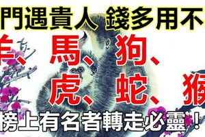 1月出門就遇貴人，錢多到用不完的生肖！（榜上有名者轉走必靈！）