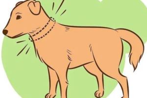 二分鐘告訴你：學會這七招才能謹慎的接近陌生狗狗！