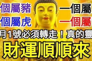 一個屬龍，一個屬虎，一個屬馬，一個屬豬，2月1號必須轉走！財運順順來！真的靈！