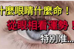 什麼眼睛什麼命，從眼相看一個人的運勢！特別准！&這些生肖在前半個人生沒有財，他們後半個人生全是財！