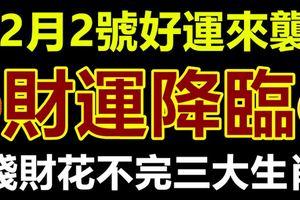 2月2號好運來襲，錢財花不完三大生肖，財運降臨