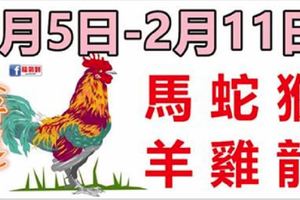 十二生肖每週運勢播報（2月5日—2月11日）