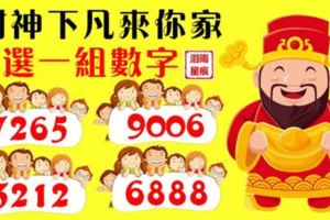 財神下凡來你家，選一組數字，看看過年前誰是你的財神？?