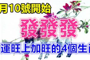 2月10號開始發發發，財運旺上加旺的4個生肖