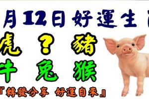 2月12日好運生肖，福氣滿滿笑顏開！【豬+？+虎+牛+兔+猴】『轉發分享好運自來』