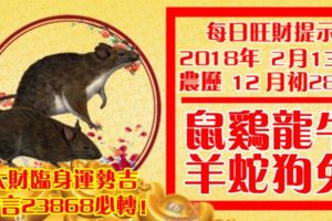 今天2月13日,每日旺財提示：鼠雞龍牛，羊蛇狗兔。大財臨身運勢吉！留言23868必轉！