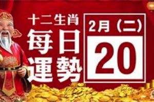 2月20號(二)12生肖運勢+指數