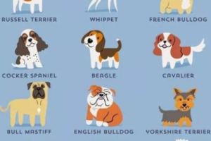 畫家筆下的192種外國名犬，有你家的寶貝嗎？