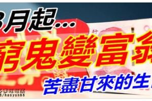 3月起窮鬼變富翁，苦盡甘來的生肖