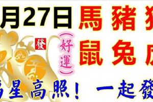2月27日生肖運勢_馬、豬、狗大吉
