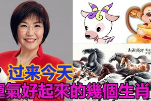 3月5號起，運氣好起來的幾個生肖！