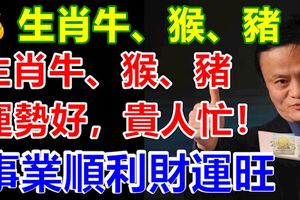 生肖牛、猴、豬，運勢好，貴人忙！事業順利財運旺(3月11到17日）
