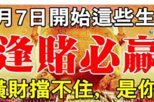3月7日開始，橫財擋不住，逢賭必贏的生肖！