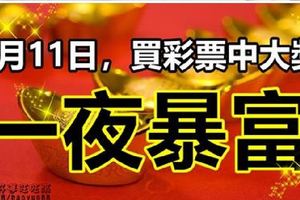 3月11日，買彩票中大獎，一夜暴富。