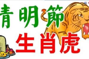 清明節，屬虎的人，必定出事！38年一次！