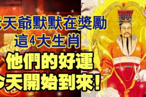 老天爺默默在獎勵這4大生肖的朋友，他們的好運今天開始到來！