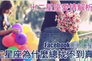 【十二星座愛情解析】十二星座為什麼總找不到真愛?