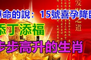 算命的說：15號喜孕降臨，添丁添福，步步高升的生肖