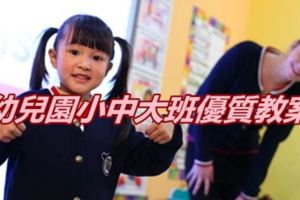 幼兒園小中大班優質教案