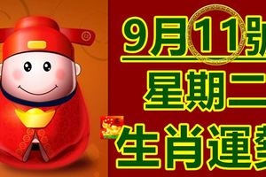 9月11號生肖運勢早知道