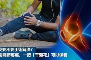 滑膜炎要不要手術解決？要告別關節疼痛，一把「干菊花」可以保養