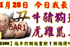 11月28日，今日我最旺！牛豬狗兔虎雞鼠馬！【22388】越早打開越靈驗！點個讚吧！