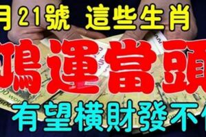 1月21號開始鴻運當頭，有望橫財發不停的生肖【前六名多留意】