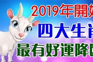 2019年開始，這四大生肖最有好運降臨，喜事連連