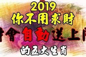 2019年你不用求財財會自動送上門的生肖