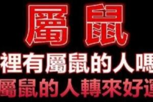 家裡有屬鼠的人嗎，有就不得了！分享出去，會為屬鼠的人帶來好運！