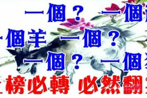 （3月8號）龍抬頭開始要格外留心了，一個？，一個龍，一個羊，一個？，一個？，一個狗必須轉啊