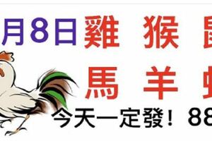 3月8日生肖運勢_雞、猴、鼠大吉