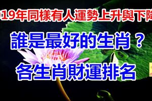 2019年同樣有人運勢上升與下降！誰是最好的生肖？各生肖財運排名~