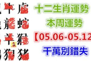 十二生肖運勢：本周運勢【05.06-05.12】千萬別錯失！