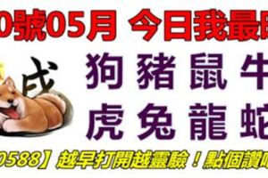 20號05月，今日我最旺！狗豬鼠牛虎兔龍蛇！【20588】越早打開越靈驗！點個讚吧！