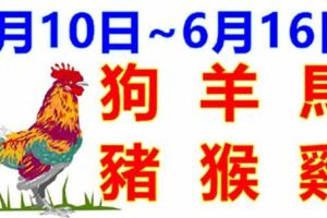 十二生肖一周運勢（6月10日~6月16日）