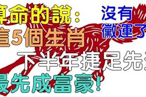 這5大生肖下半年捷足先登，最有機會成富豪