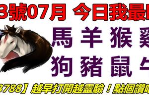 23號07月，今日我最旺！馬羊猴雞狗豬鼠牛！【23788】越早打開越靈驗！點個讚吧！