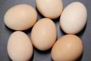 雞蛋生吃最有營養？營養師闢謠：天天吃生雞蛋，反而浪費營養