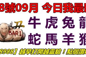 18號09月，今日我最旺！牛虎兔龍蛇馬羊猴！【18988】越早打開越靈驗！點個讚吧！