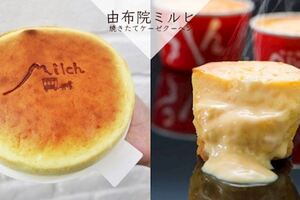 30秒就賣出一個！日本奇蹟美食「由布院Milch」登陸台中　「半熟起司蛋糕」開幕買五送一