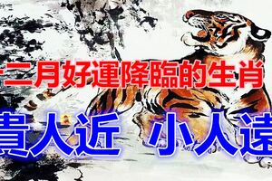 十二月【貴人近；小人遠】好運降臨的生肖