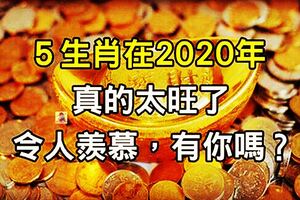 這５生肖「惹不起」！他們在2020年真的太旺了，實在令人羨慕，有你嗎？