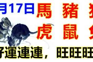 5月17日生肖運勢_馬、豬、狗大吉