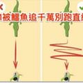 6種遇到「致命危機」可以把自己「從鬼門關救回來」的方法，#5這3大法則才是保命重點啊！