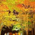 2017年9月～11月北海道秋季情報搶先看！