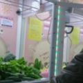 【影片】台灣夾娃娃機變「夾菜機」引起網友朝聖挑戰，「60元保夾」好玩到停不下來！