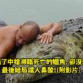 漁夫救活了中槍瀕臨死亡的鱷魚，卻沒想到……結局令人鼻酸